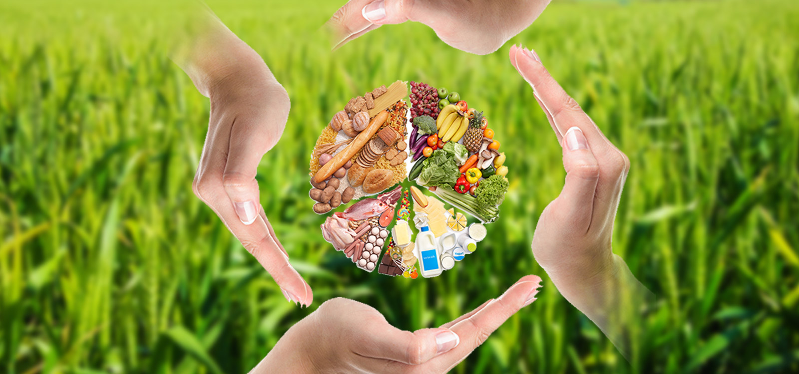 Five-point Food Safety Policy